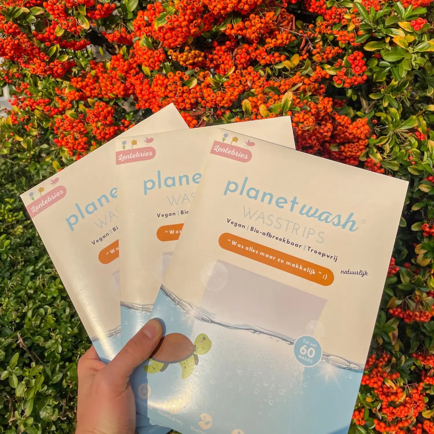 Milieuvriendelijke Wasstrips